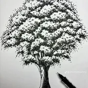 Dakki