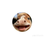Ebxbvhebv76