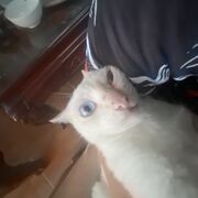 Bright4