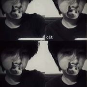 ngtrang_chip