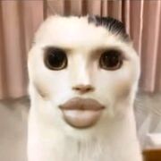 bngocmoclon