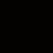 Cacto16.5cm