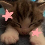 anh_thuw