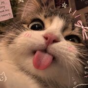 ri_xinhgai