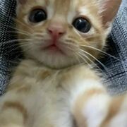 Vuneee