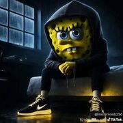 Sdhkv@