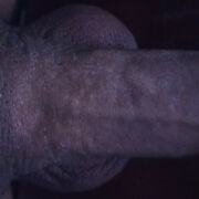 nobed