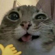 nhims_xinhyeuuu