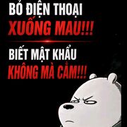 Bovidai