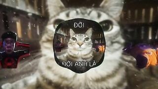 Imnao