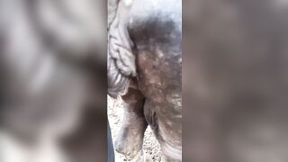 buffalow