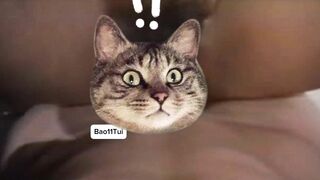 Phim của Pháp bị cấm 🧌