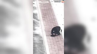 Cãi nhau với người yêu, em gái lột đồ giữa mùa đông lạnh giá