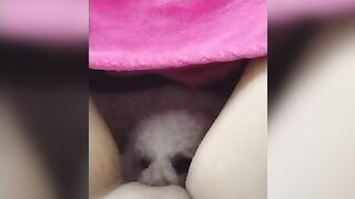 Full video đụ chó zl 0876902383
