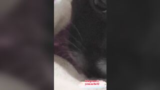 PHAN NGỌC DIỄM 9B VÀ MỘT CÁI LOLL KHÔNG LÔNG CHO CHÓ LIẾM