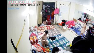 Quay lén động nhền nhện p1