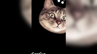 Em gái 23