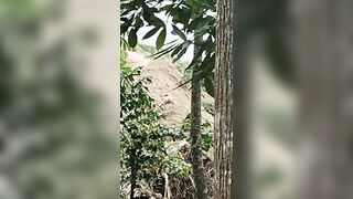 Đôi nam nữ lên núi nghỉ lễ rồi hoà mình vào thiên nhiên ngay trên đống cát