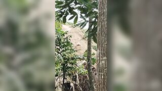 Đôi nam nữ lên núi nghỉ lễ rồi hoà mình vào thiên nhiên ngay trên đống cát