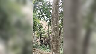 Đôi nam nữ lên núi nghỉ lễ rồi hoà mình vào thiên nhiên ngay trên đống cát
