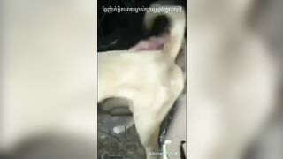 Nắc lia lịa