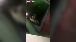 Có con ny nghiện chim cứ thấy là bú như bị bỏ đói