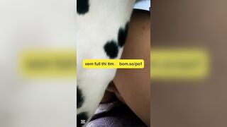 cô chủ xinh gái bị bầy chó hiếp dâm