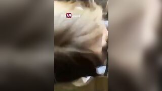 Bé sinh viên kính cận ngoan ngoãn nhưng lên giường em thần dâm số một