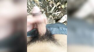 Pulic 2