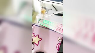 Long Nhật luxury1 t1