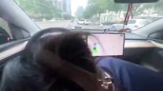 Vừa lái xe vừa đụ em rau sạch