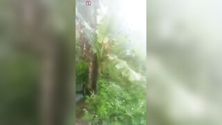 Doggy em bên bờ kênh