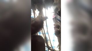 em gái tắm p3
