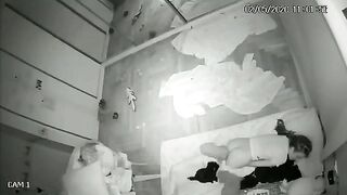 Những chú cún khát nước
