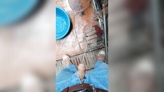 Chó đái bậy