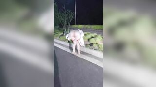 khoe lồn ngay công cộng vaf cái kết
