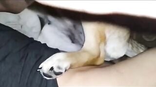 Sướng 2 2