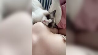Gái xinh show vú cùng con mèo dễ thương