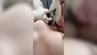 Gái xinh show vú cùng con mèo dễ thương