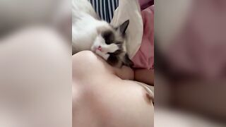 Gái xinh show vú cùng con mèo dễ thương