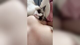 Gái xinh show vú cùng con mèo dễ thương