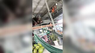 Nhìn vú thế có mê không