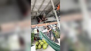 Nhìn vú thế có mê không