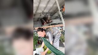 Nhìn vú thế có mê không