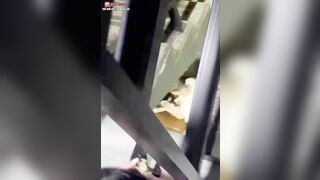 Vô tình bắt gặp cặp đôi địt nhau ở ngầm cầu thang