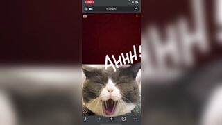 Ometv 4