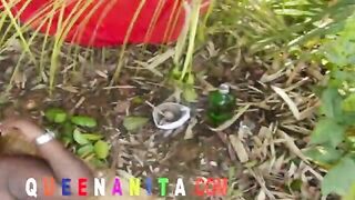 Thổ dân chịch nhau 9