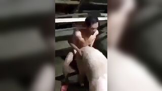 Nữa đêm hai bố con nwng quá........