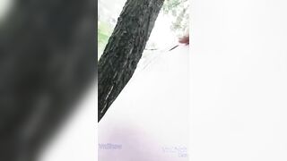 Lên rừng dụ dỗ ông
