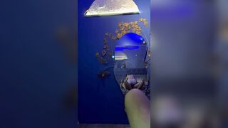 Em gái sinh viên đỉnh của chóp 2
